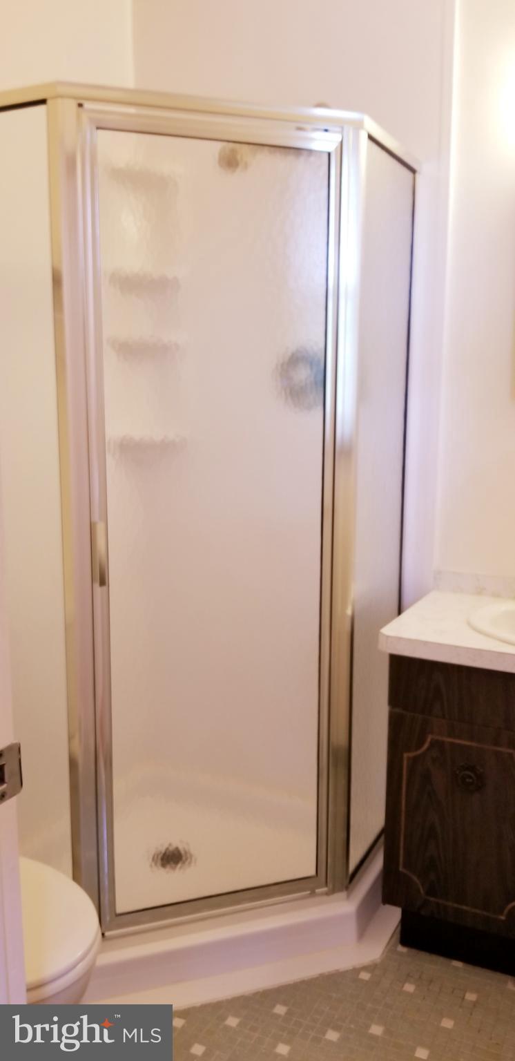 3907 Sybil Road Randallstown, MD 21133 - Photo 19 of 30 a bathroom with a shower and a sink