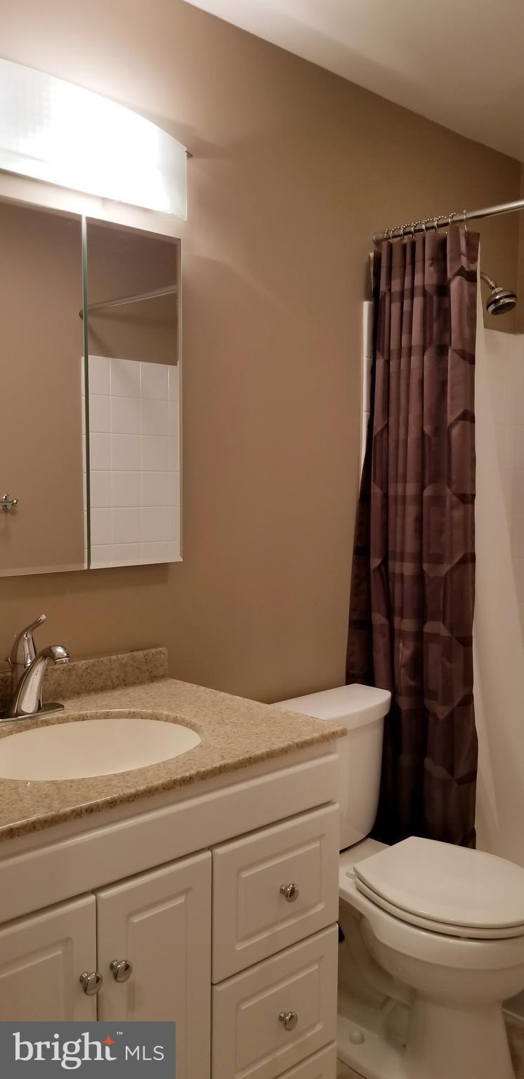 3907 Sybil Road Randallstown, MD 21133 - Photo 20 of 30 a bathroom with a sink a toilet and shower