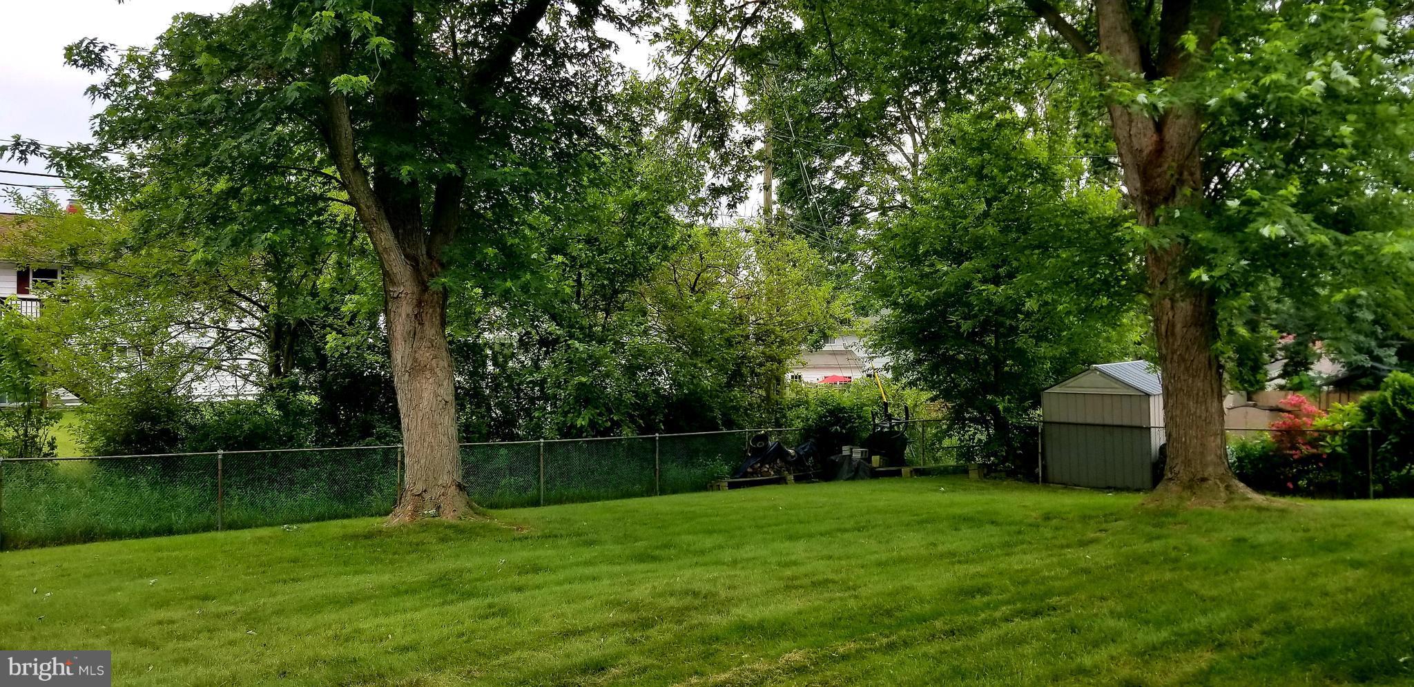3907 Sybil Road Randallstown, MD 21133 - Photo 5 of 30 a backyard of a house with lots of plants and large tree