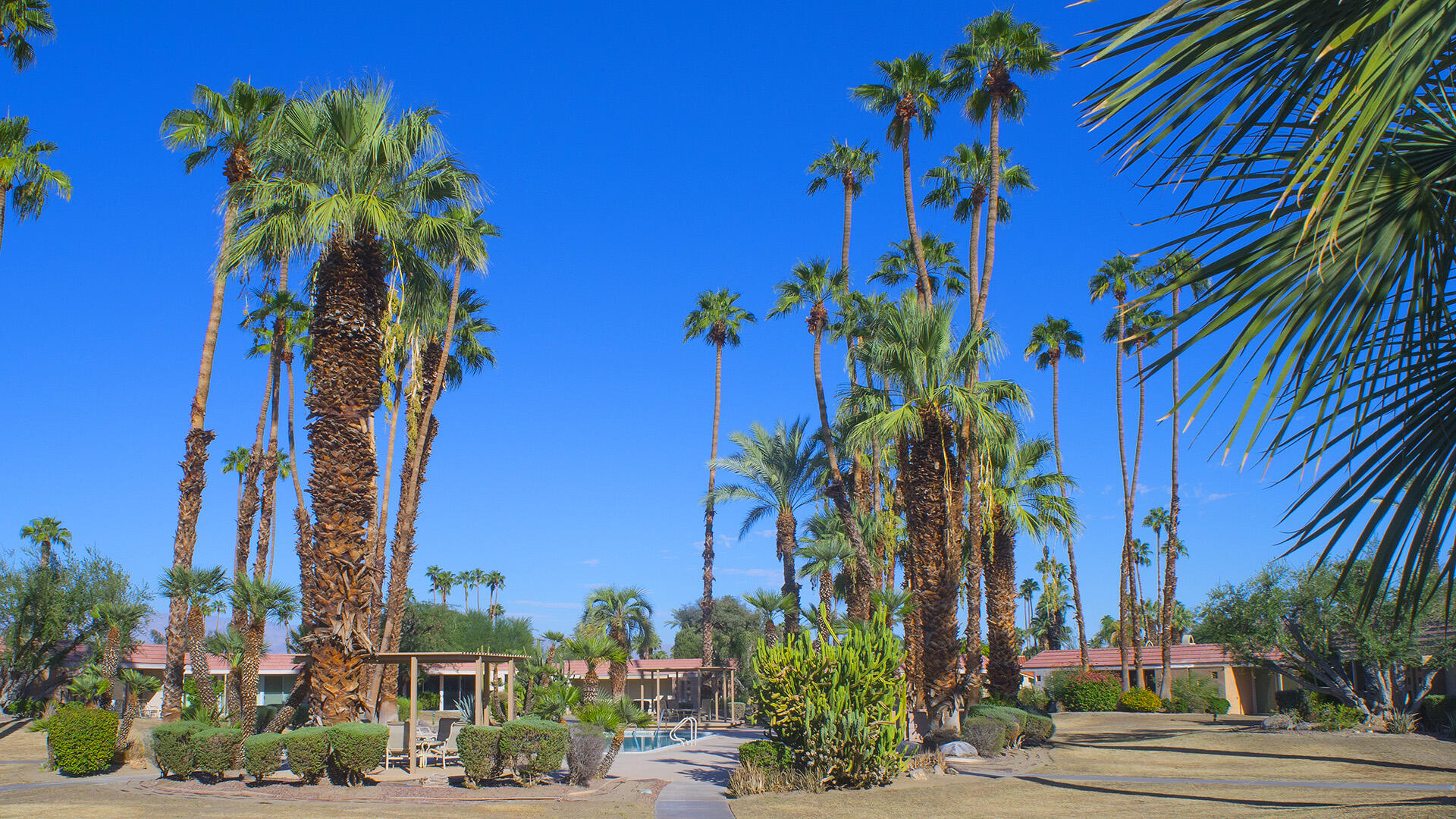 45860 Pima Road Indian Wells, CA 92210 - Photo 40 of 45 DSC08958 web