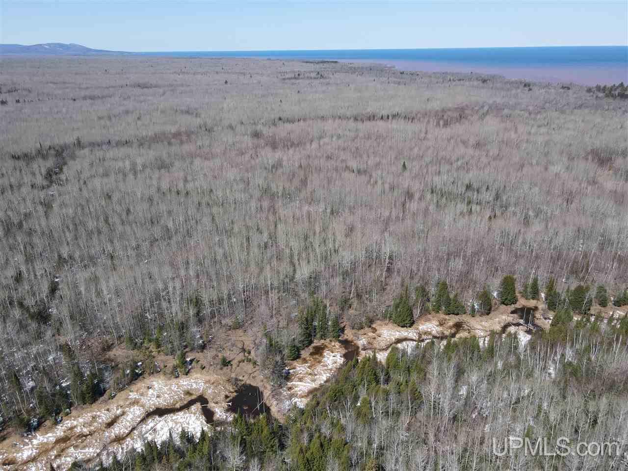 Tbd Bolo Road Marenisco, MI 49947 - Photo 4 of 14