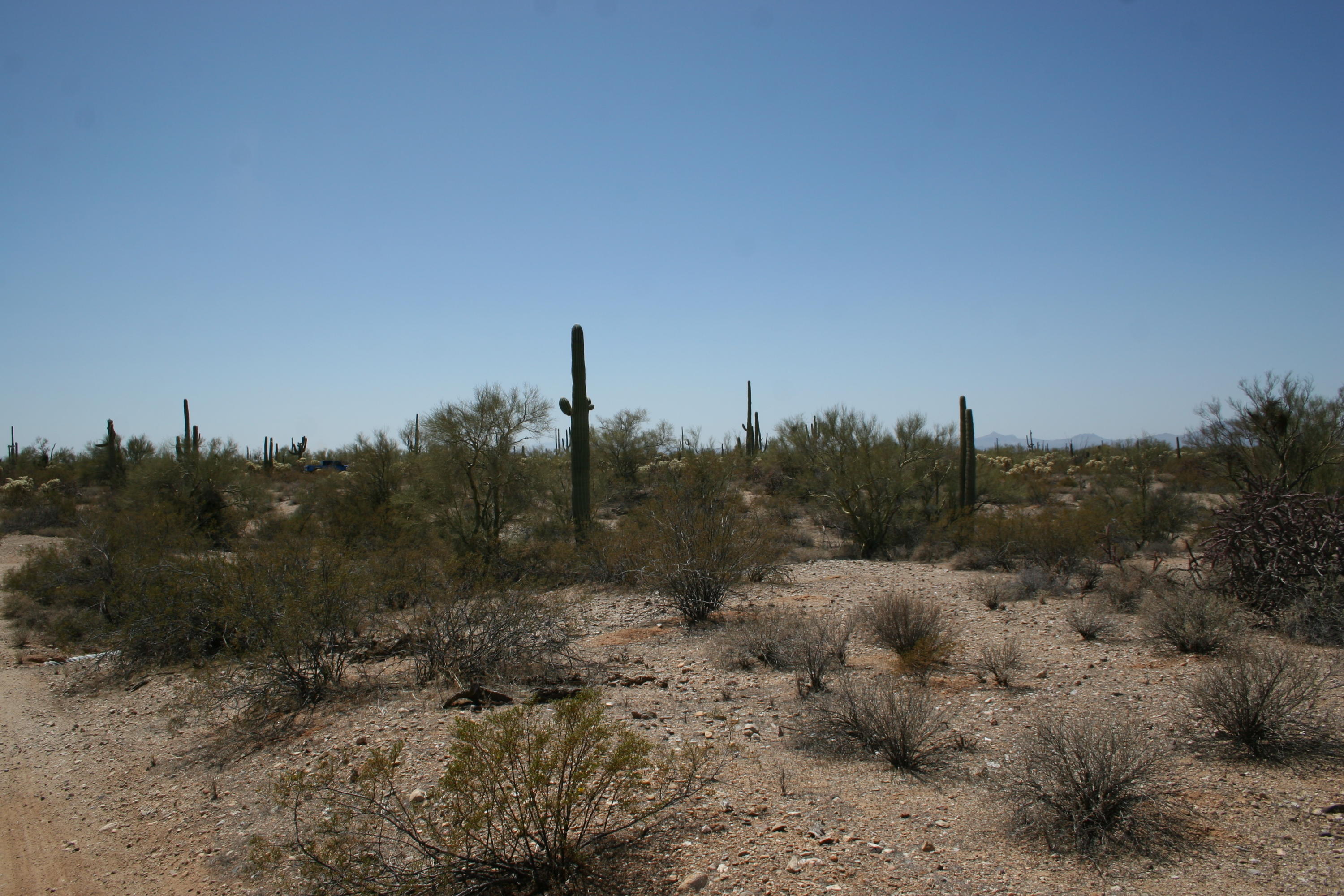 South M Bar J Ranch Road Marana, AZ 85658 - Photo 4 of 15 Gallery Image 4