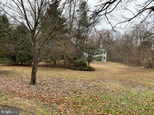 253 Spring Hollow Road Phoenixville, PA 19460 - Photo 9 of 32