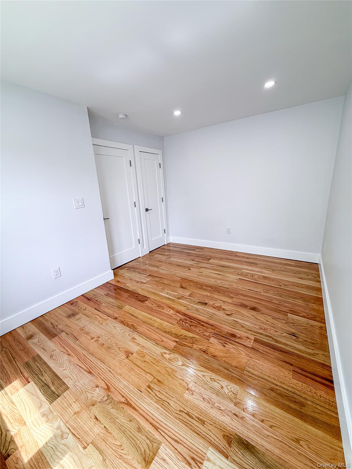 249-09 Mayda Road, Unit 2 Queens, NY 11422 - Photo 18 of 22