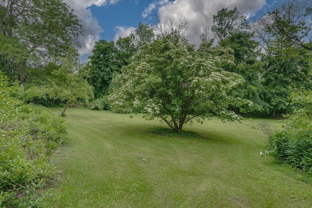 49 S Road Templeton, MA 01468 - Photo 4 of 33 a view of a green yard