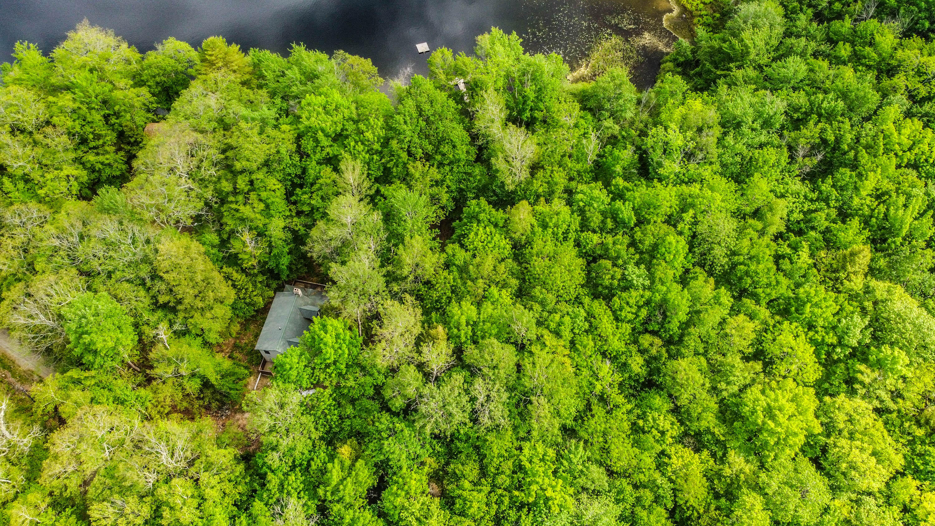 142 5 Kezar Ponds Road Waterford, ME 04088 - Photo 69 of 73 20220610gp-67039