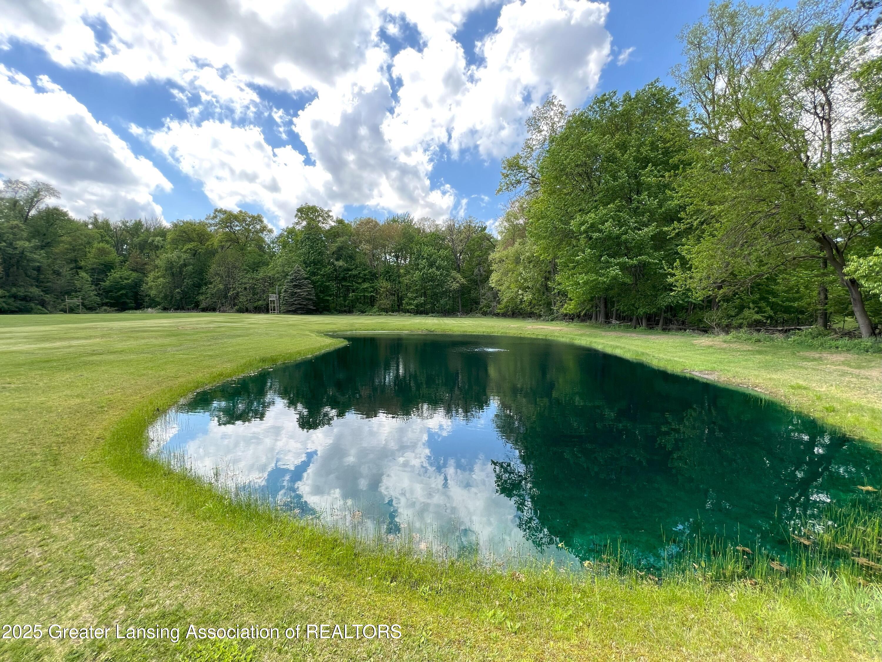 4860 Shepper Road Stockbridge, MI 49285 - Photo 65 of 66 Pond