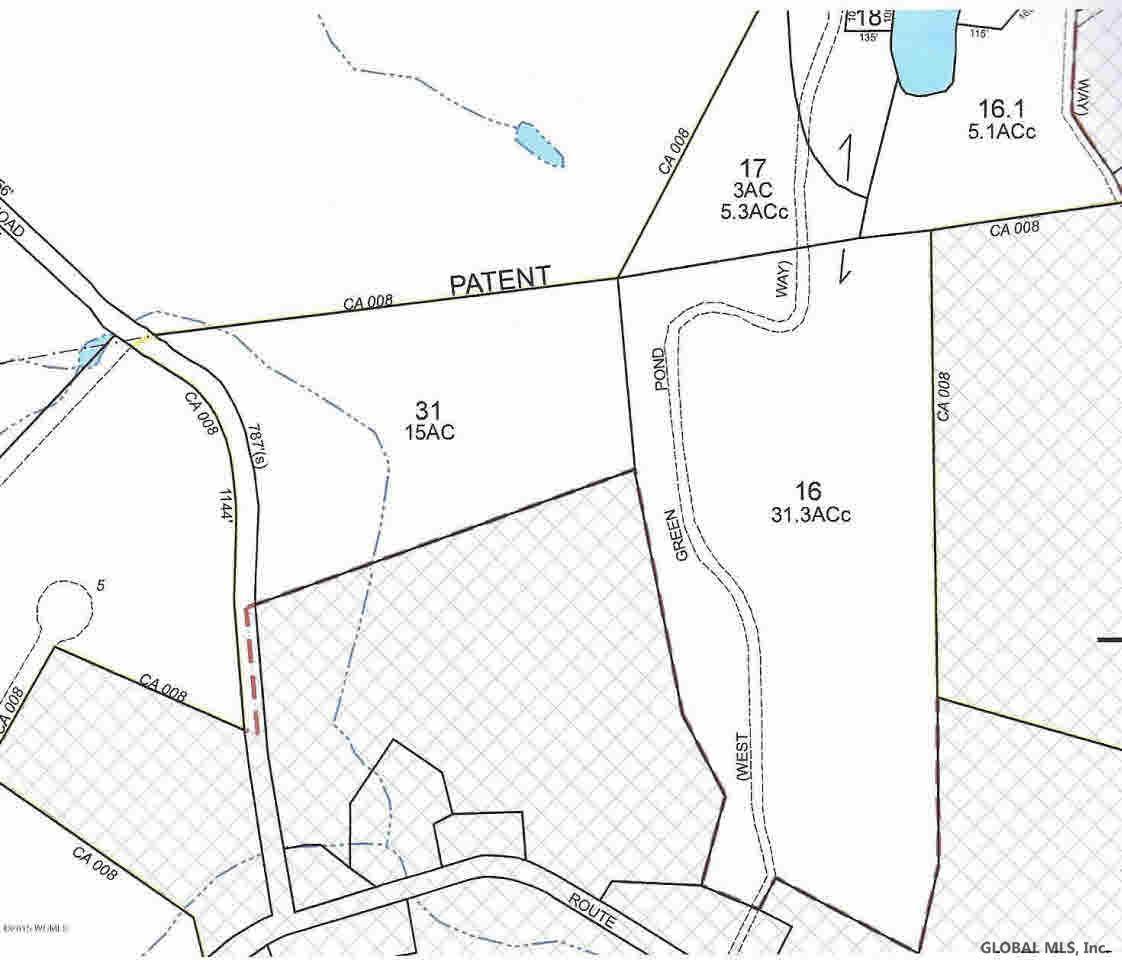0 Button Road Salem, NY 12865 - Photo 1 of 9 Photo 1