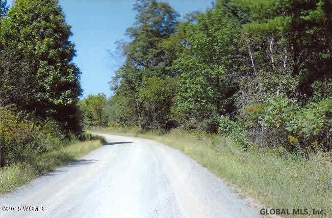 0 Button Road Salem, NY 12865 - Photo 2 of 9 Photo 2