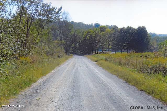 0 Button Road Salem, NY 12865 - Photo 3 of 9 Photo 3