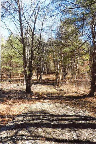 0 Button Road Salem, NY 12865 - Photo 4 of 9 Photo 4