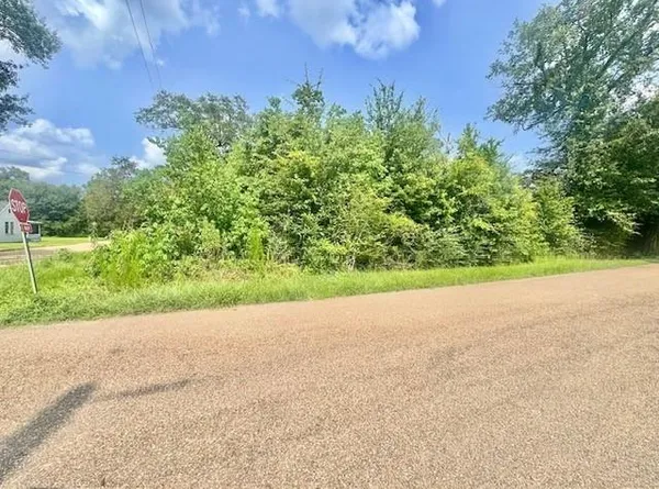 $25,000 | 800 East Iowa Avenue, Hammond, LA 70403