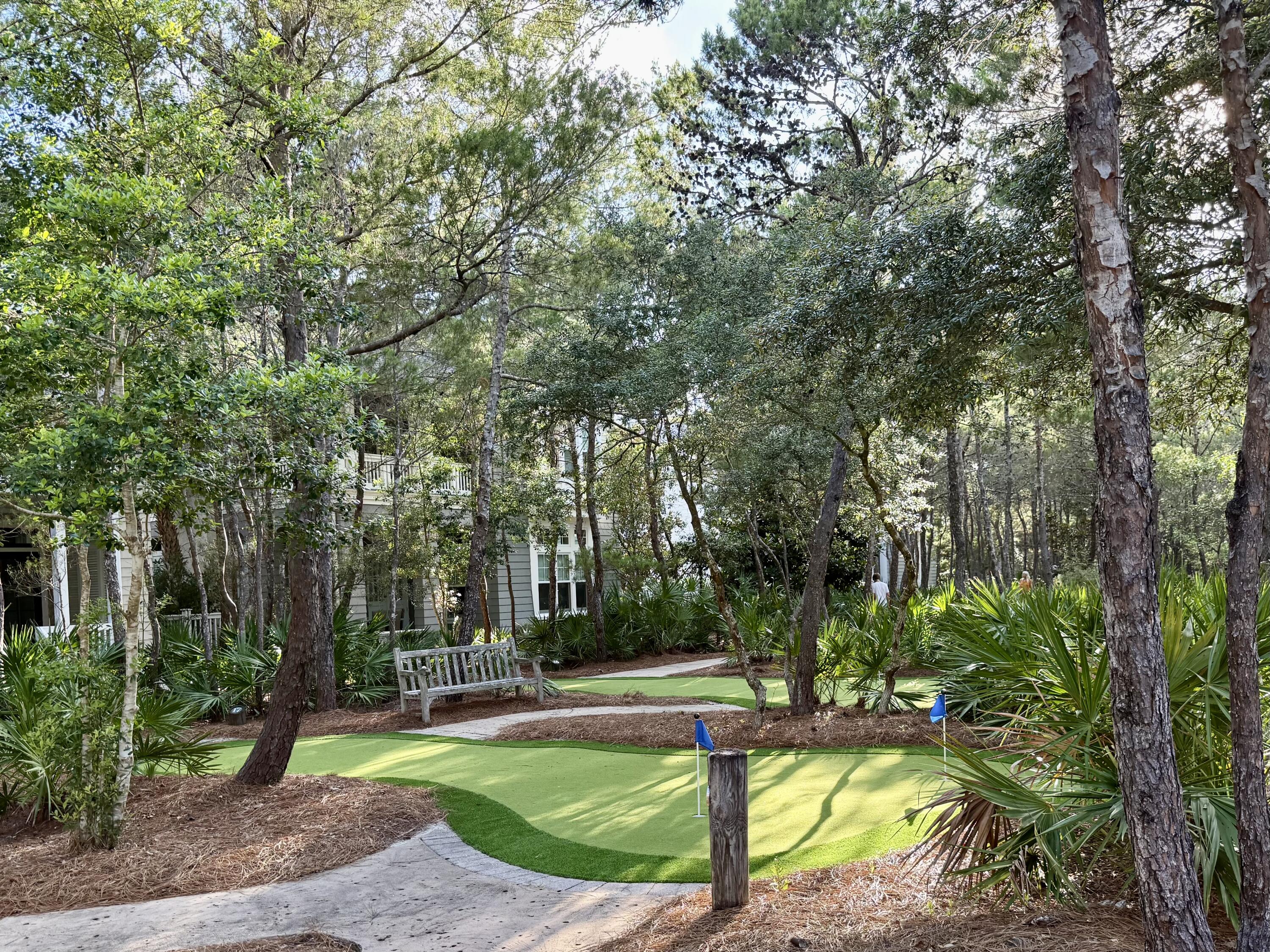 Xx Xx Coppersmith Ln Inlet Beach Inlet Beach, FL 32461 - Photo 31 of 37 31