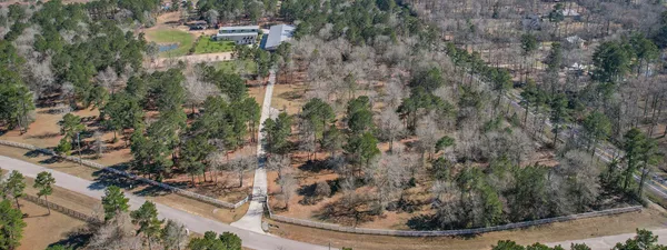 a view of a yard