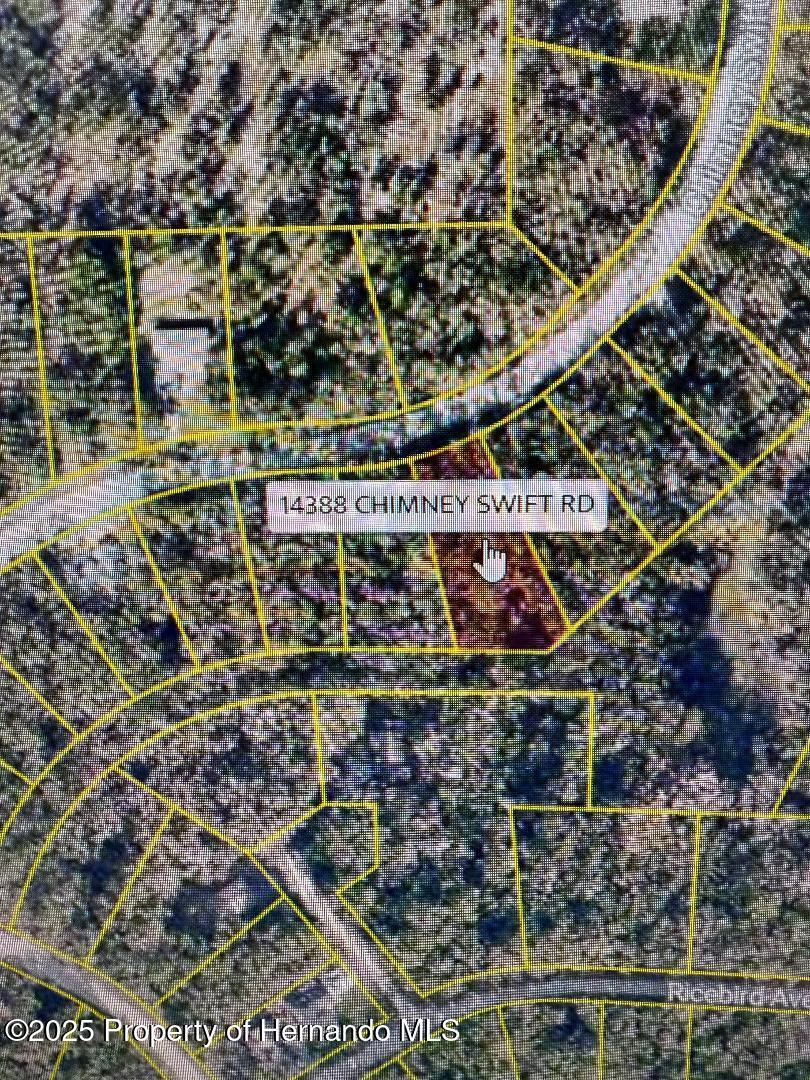 14388 Chimney Swift Road Brooksville, FL 34614 - Photo 3 of 5 thumbnail (1)