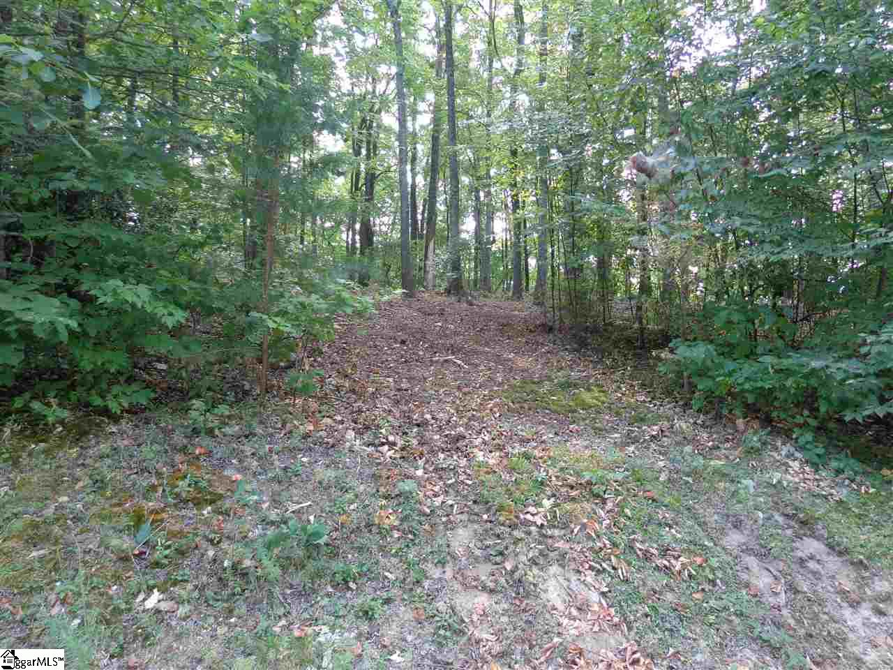 309 R-Pd-138 Landrum, SC 29356 - Photo 2 of 6 Gallery Image 2
