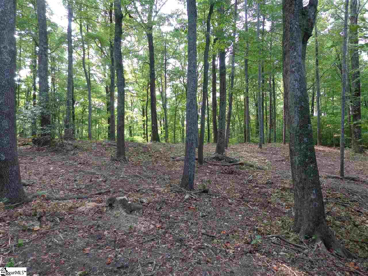 309 R-Pd-138 Landrum, SC 29356 - Photo 3 of 6 Gallery Image 3