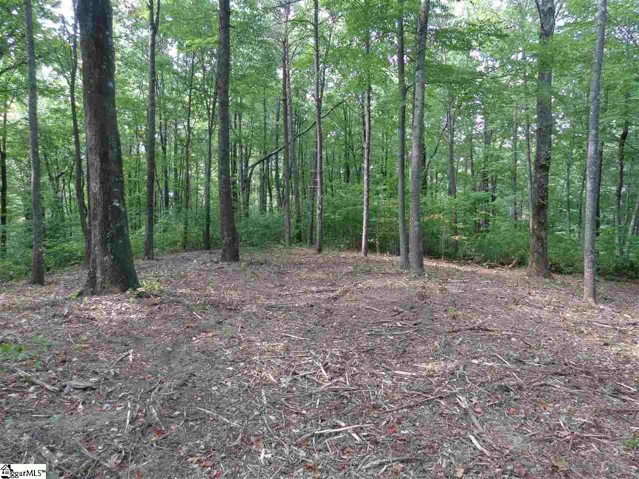 309 R-Pd-138 Landrum, SC 29356 - Photo 4 of 6 Gallery Image 4