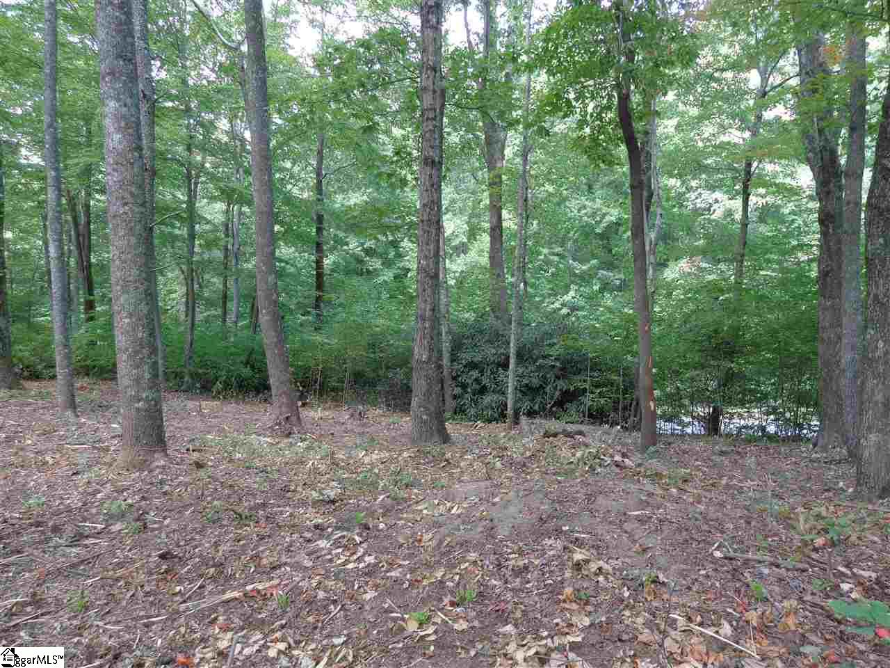 309 R-Pd-138 Landrum, SC 29356 - Photo 5 of 6 Gallery Image 5