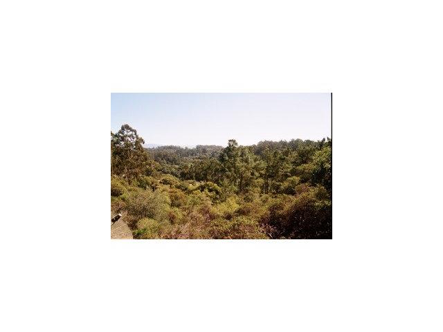 335 Paradise Road Salinas, CA 93907 - Photo 7 of 9 Gallery Image 7