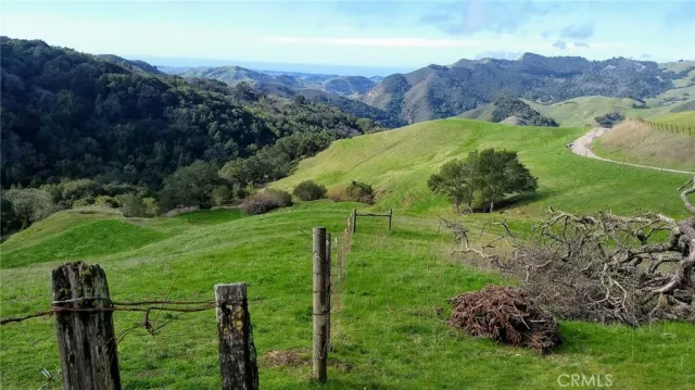 a view of a back yard