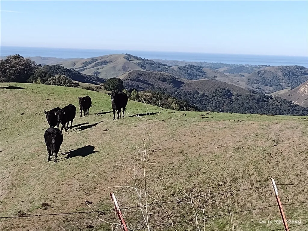 9500 Santa Rosa Creek Road Templeton, CA 93465 - Photo 11 of 23