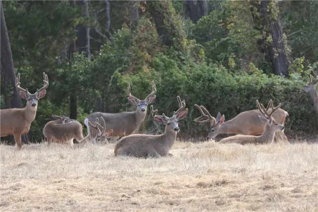 a view of a mountain