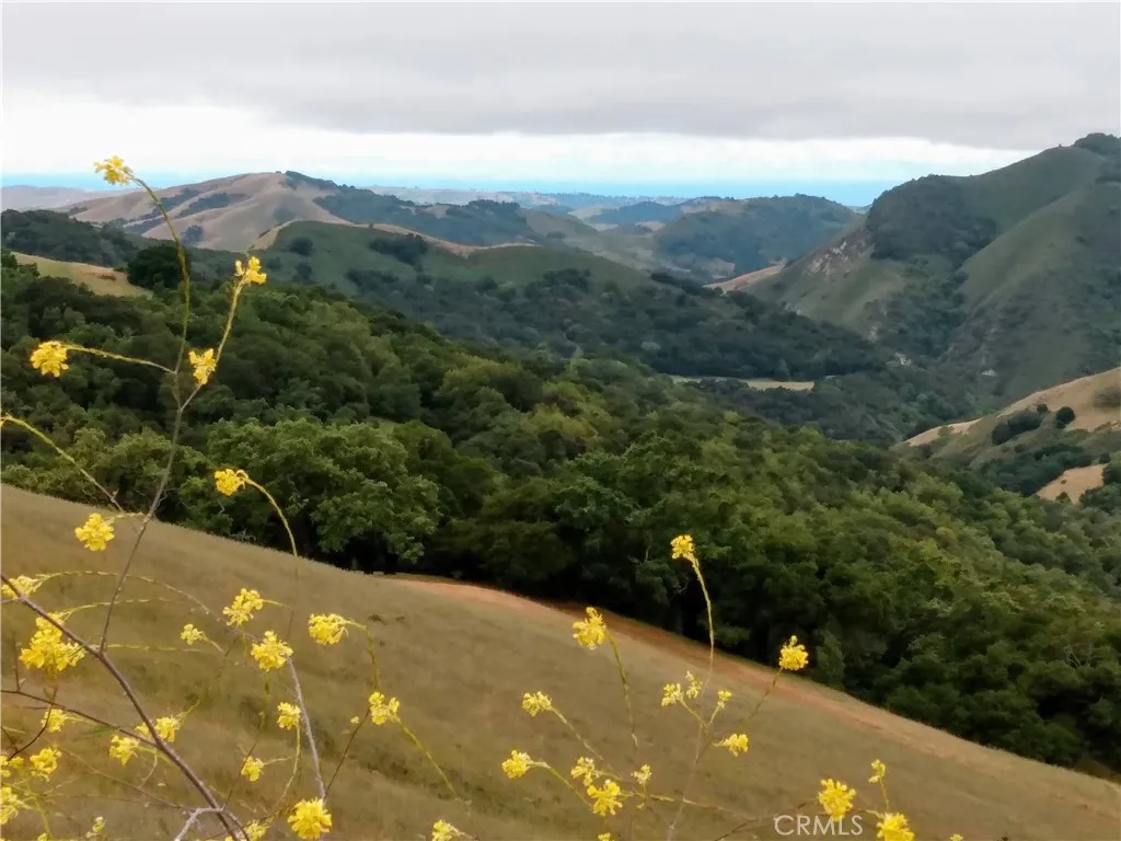 9500 Santa Rosa Creek Road Templeton, CA 93465 - Photo 16 of 23