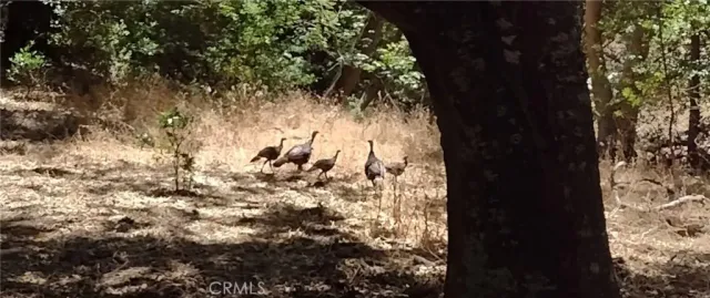 a view of a lake with a mountain in the background