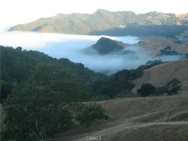 a view of backyard with green space