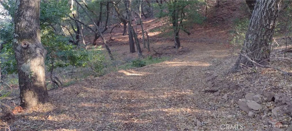 9500 Santa Rosa Creek Road Templeton, CA 93465 - Photo 2 of 23