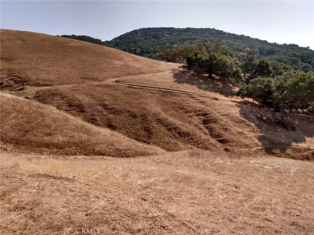 9500 Santa Rosa Creek Road Templeton, CA 93465 - Photo 7 of 23