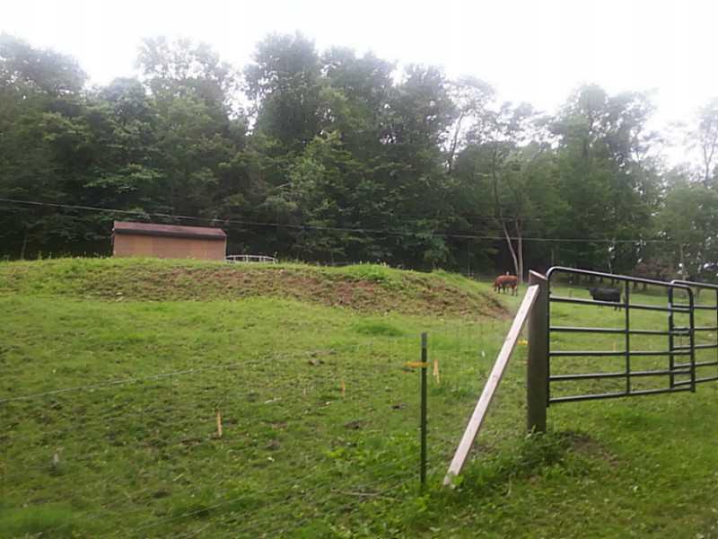 299 Red Mill Road Kittanning, PA 16201 - Photo 6 of 21 Land.