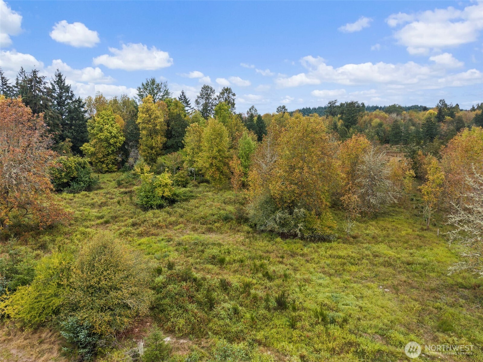 0 Hubbard Road Chehalis, WA 98532 - Photo 15 of 19 Gallery Image 15