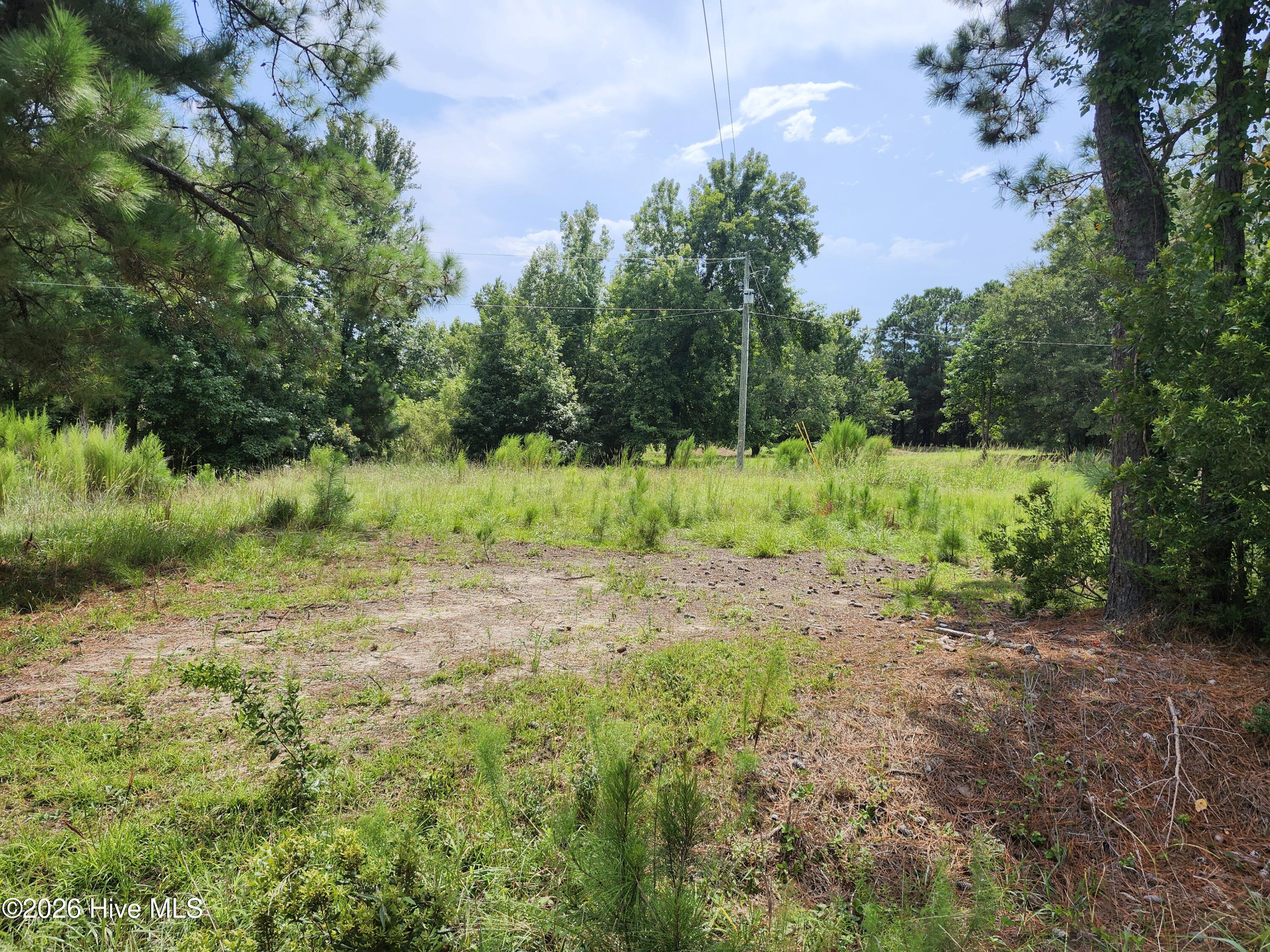 306 Howards Landing Road Hampstead, NC 28443 - Photo 3 of 16 Gallery Image 3