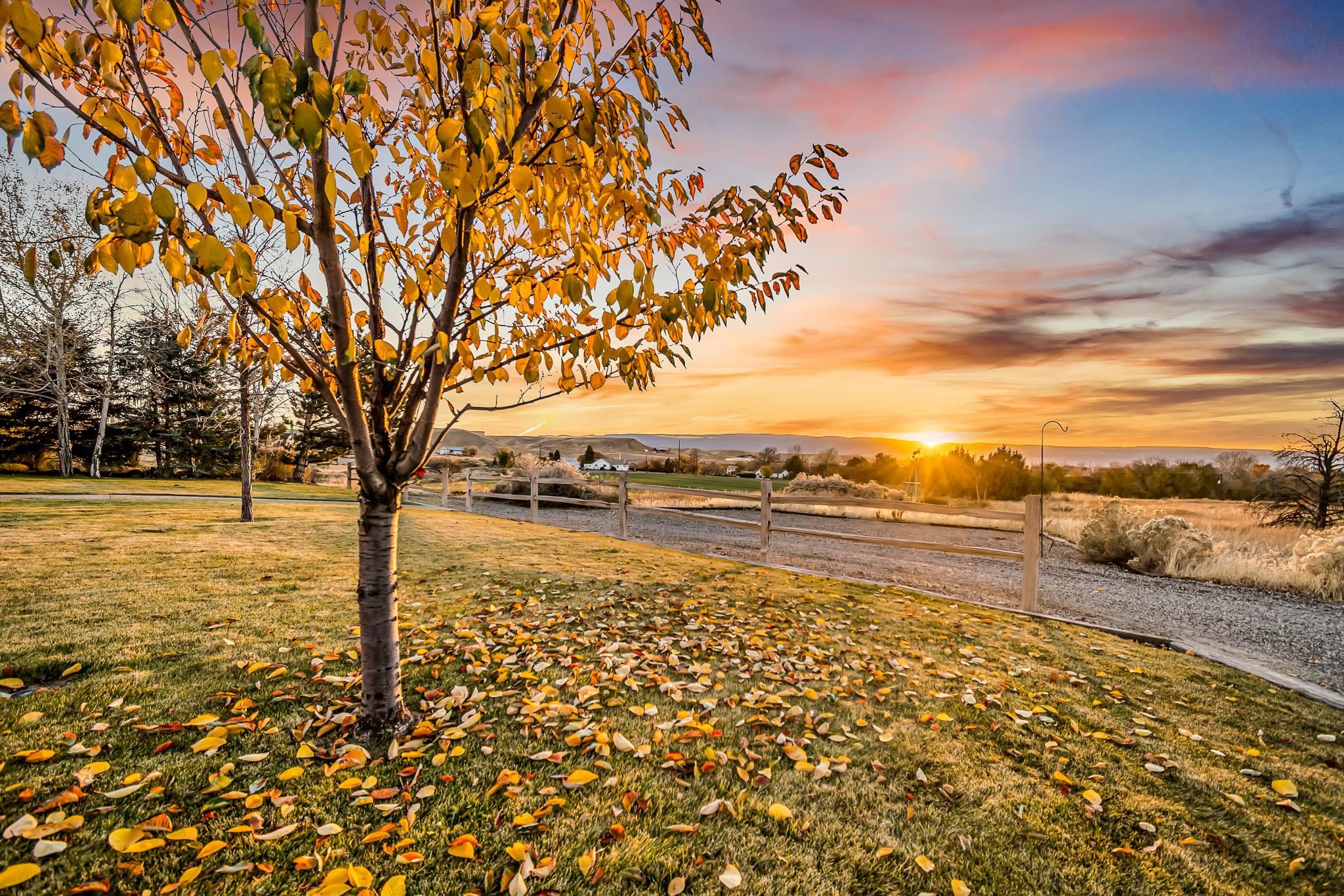 3410 C Road Palisade, CO 81526 - Photo 35 of 39 Gallery Image 35