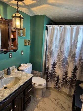 a bathroom with a granite countertop sink toilet and shower