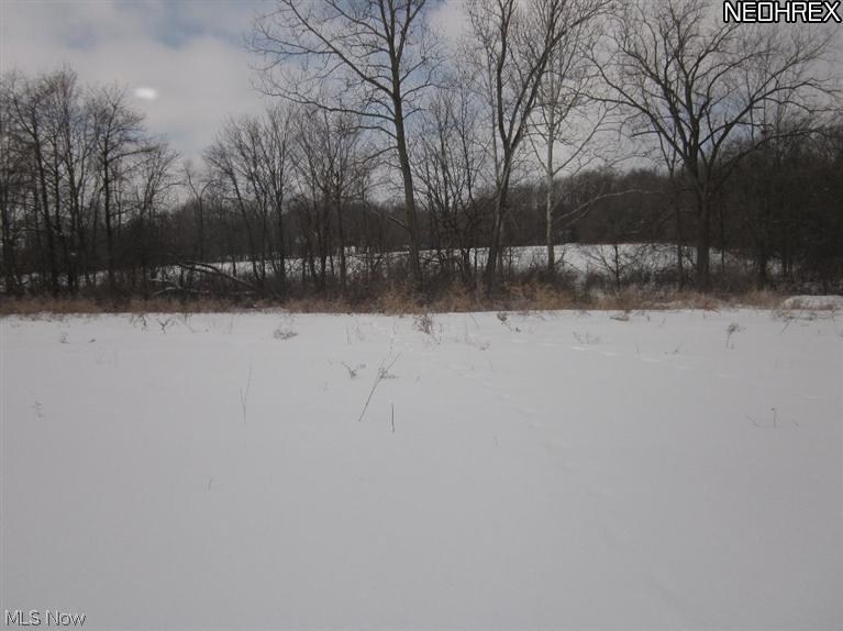 68 Ridge Road Hinckley, OH 44233 - Photo 2 of 11