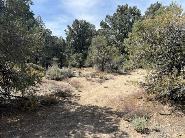 $14,999 | 0 East Windy Trail, Frazier Park, CA 93225