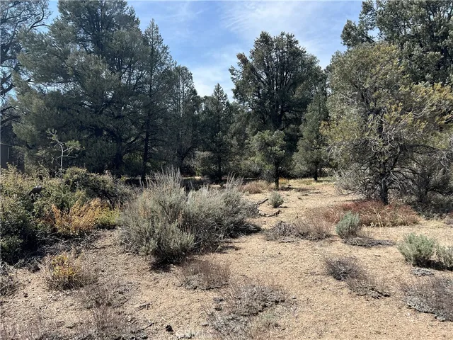 $14,999 | 0 East Windy Trail, Frazier Park, CA 93225