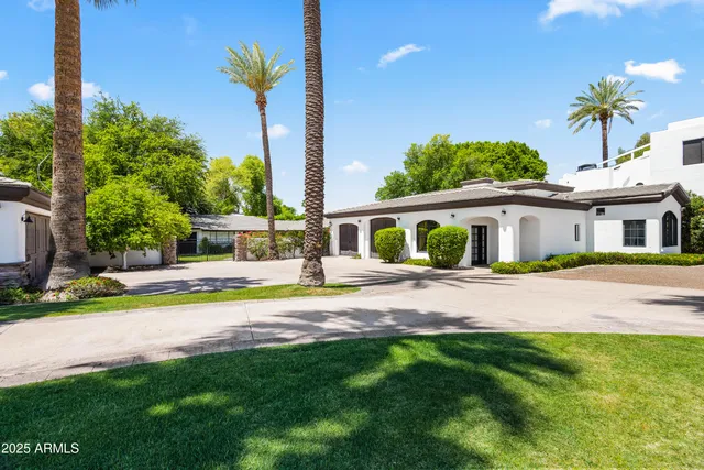 a view of a road with a palm tree