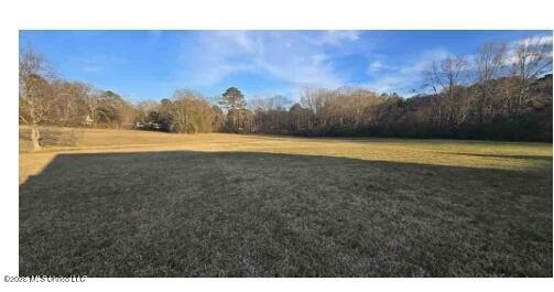 182 Parks Road Jackson, MS 39212 - Photo 4 of 18 Backyard