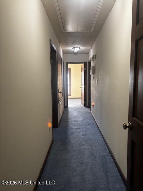 182 Parks Road Jackson, MS 39212 - Photo 10 of 18 Hall View