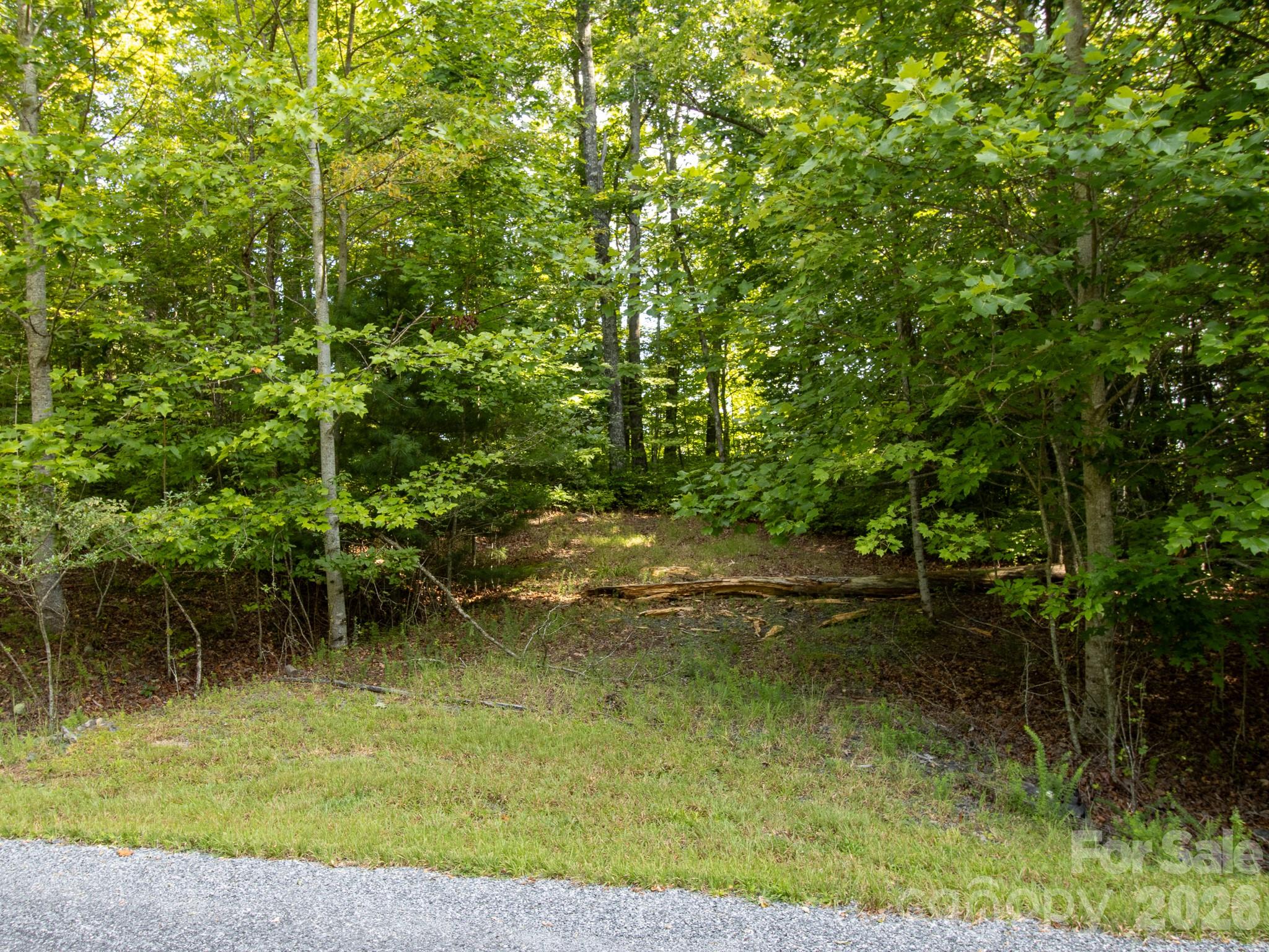 Tbd Kelly Mountain Road, Unit 19 Brevard, NC 28712 - Photo 4 of 13 Gallery Image 4