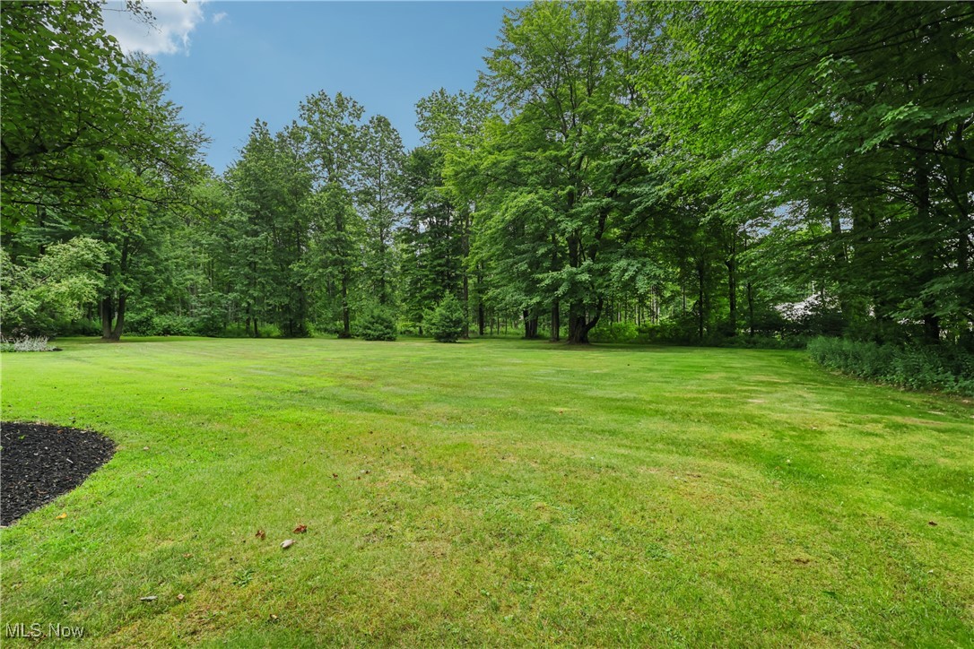 8315 Orchard Road Painesville, OH 44077 - Photo 42 of 45 View of grassy yard