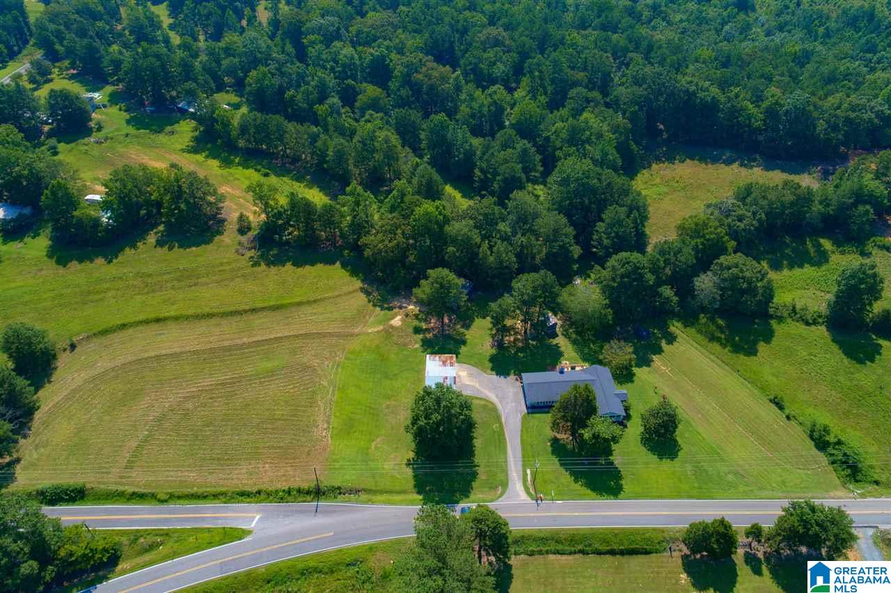 9259 Bradford Trafford Road Pinson, AL 35126 - Photo 2 of 38