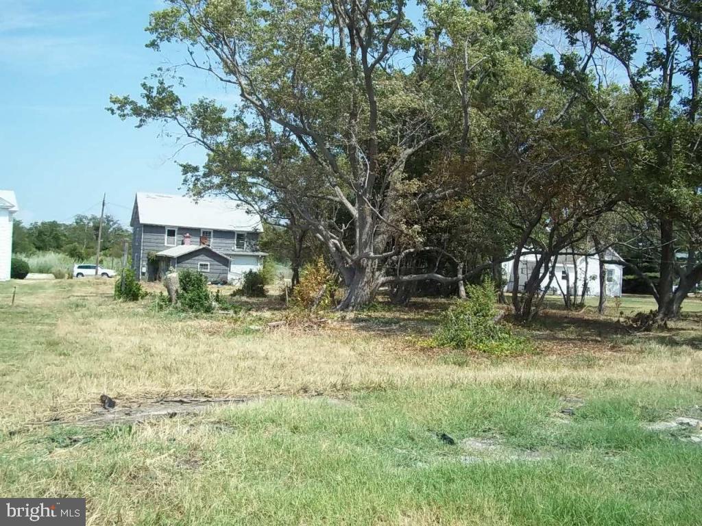 Gallery Image 7