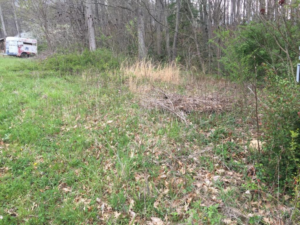 2 Davis Hollow Road Elizabethton, TN 37643 - Photo 2 of 3 Photo 2