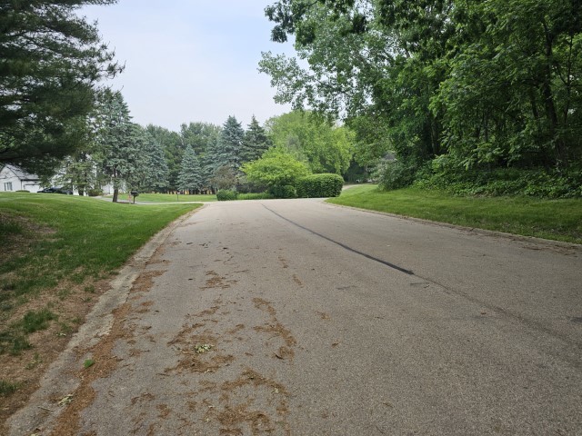 a view of a field with a trees in the background