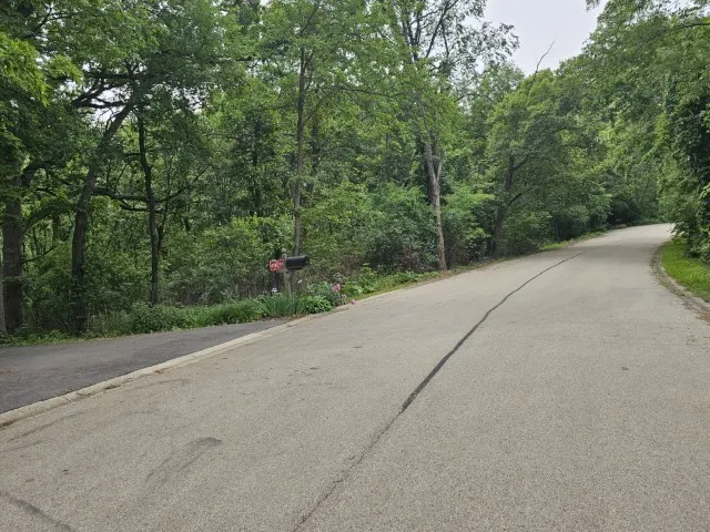 a view of a road with trees in front of it